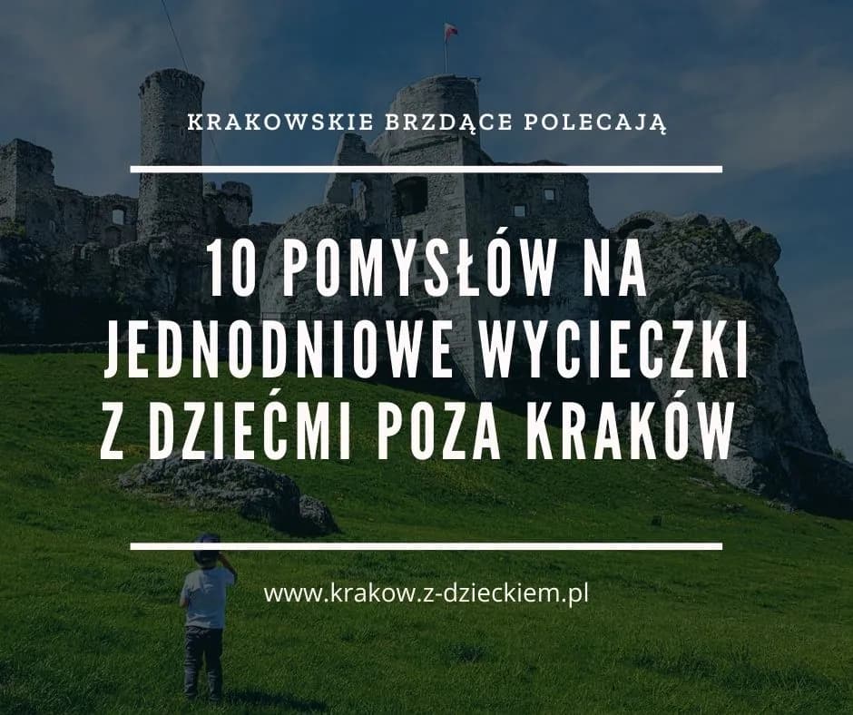 Gdzie z dzieckiem okolice Krakowa – najlepsze miejsca na rodzinne wyjścia Gdzie z dzieckiem okolice Krakowa – najlepsze miejsca na rodzinne wyjścia